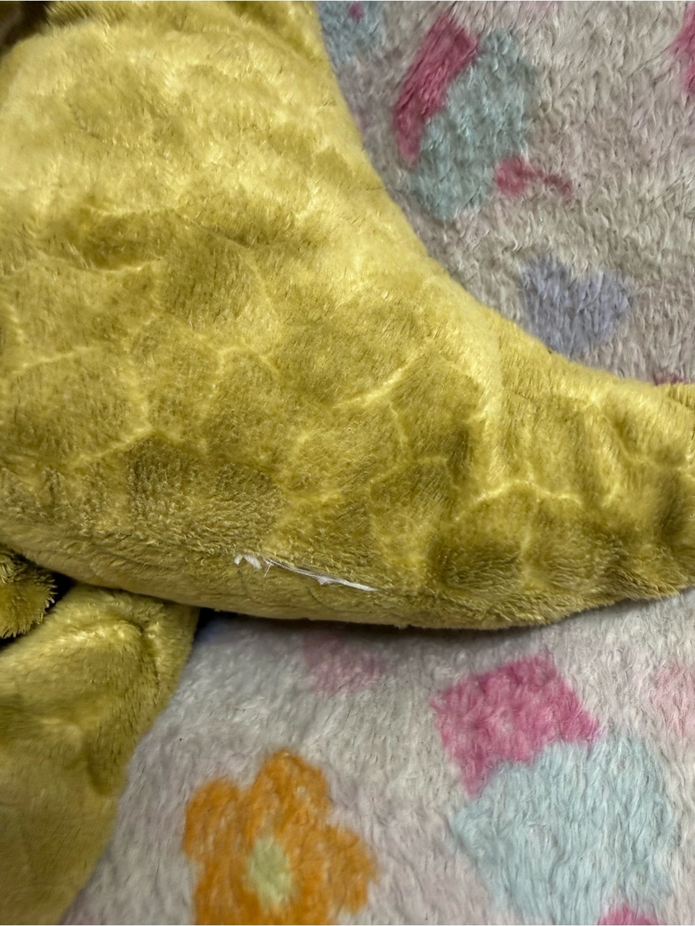 Reptile Subcategory Classification - Picture 5 of 5